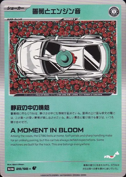 Field of Roses